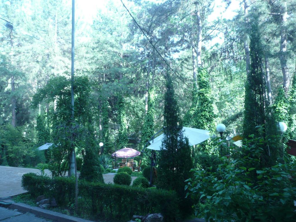 Apartment Tsentr 5 Taszkent Zewnętrze zdjęcie